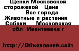 Щенки Московской сторожевой › Цена ­ 35 000 - Все города Животные и растения » Собаки   . Московская обл.,Ивантеевка г.